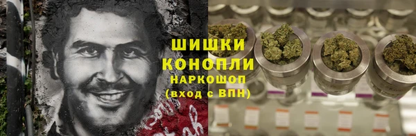 стаф Белоозёрский
