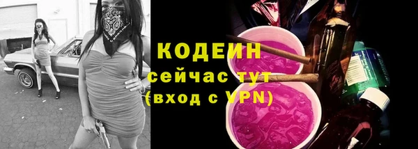 молекула духа Богородицк