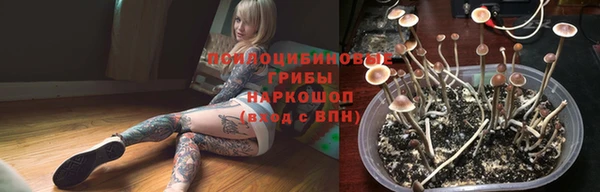 таблы Богородск