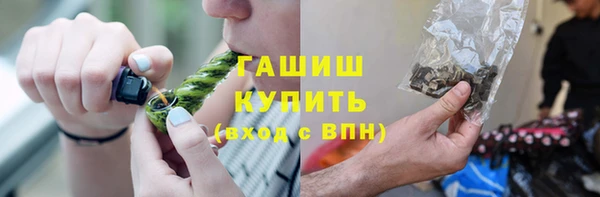 молекула духа Богородицк
