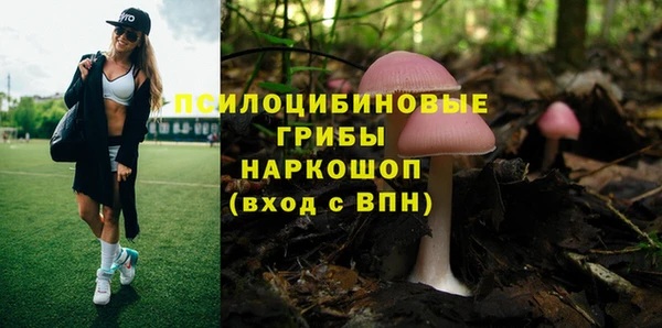 jwh Богданович