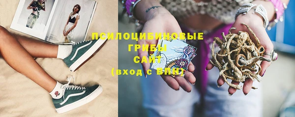 спайс Беломорск